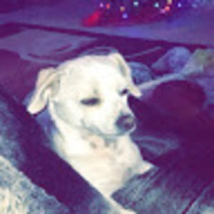 Meet your Posher, Aubrey